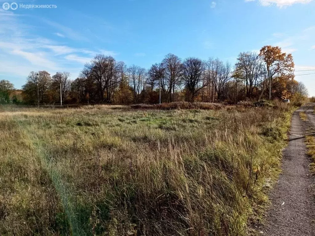 Участок в Калининградская область, Гурьевский муниципальный округ, ... - Фото 1