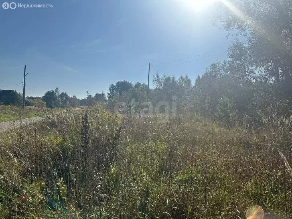 Участок в Нижегородская область, муниципальный округ Навашинский, ... - Фото 0