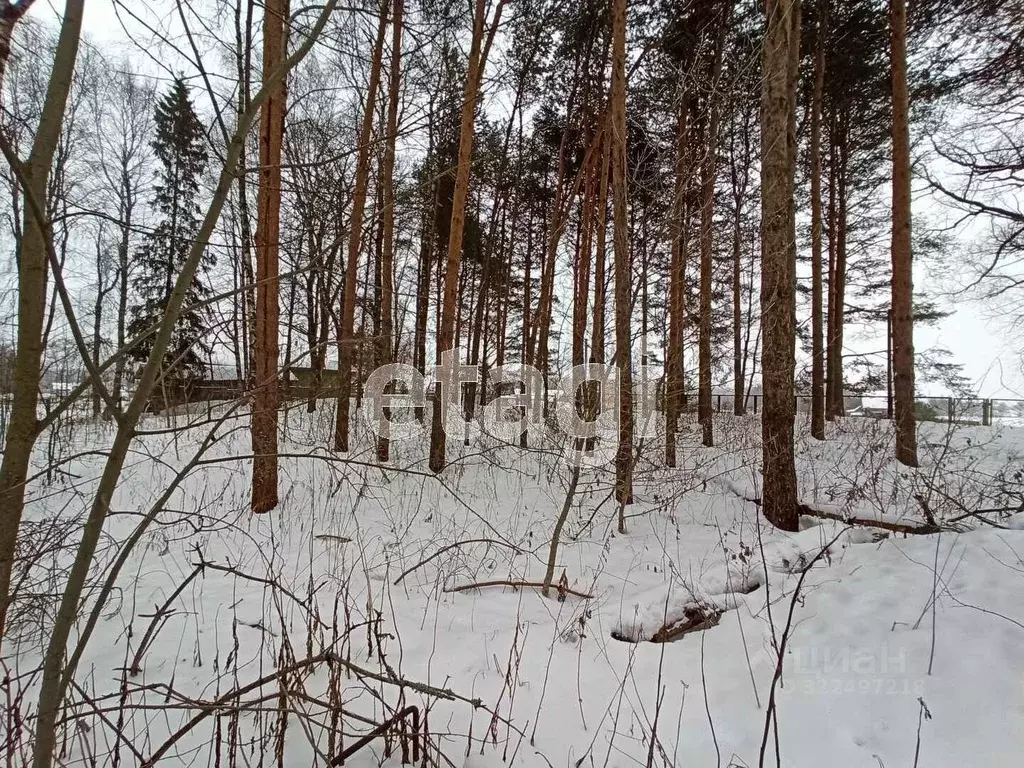 Склад в Вологодская область, Сокольский муниципальный округ, д. ... - Фото 1