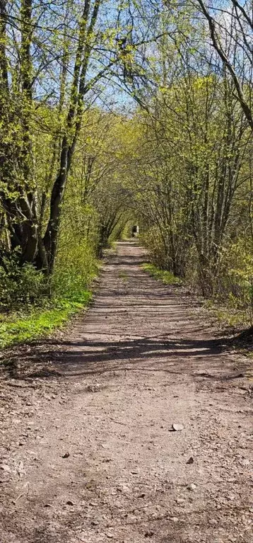 Участок в Санкт-Петербург пос. Солнечное,  (1.5 сот.) - Фото 0