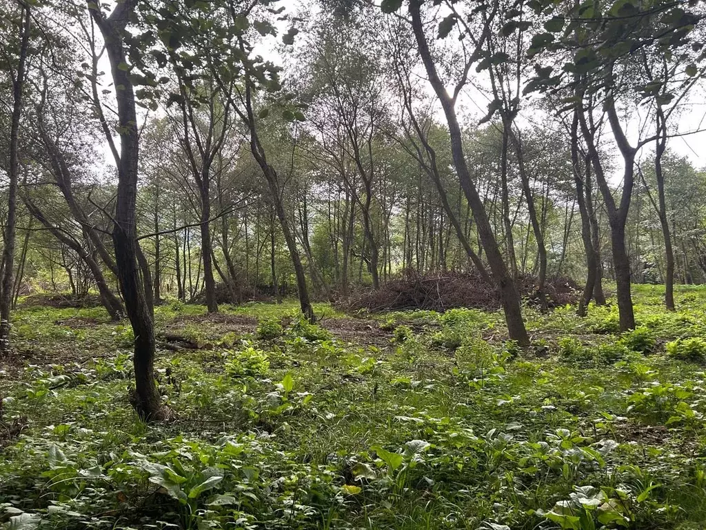 Участок в Карачаево-Черкесия, Зеленчукский район, с. Нижняя Ермоловка ... - Фото 1