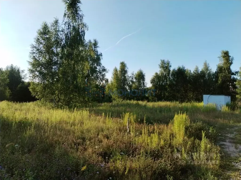 Участок в Нижегородская область, Кстово ул. Жемчужная (10.0 сот.) - Фото 1