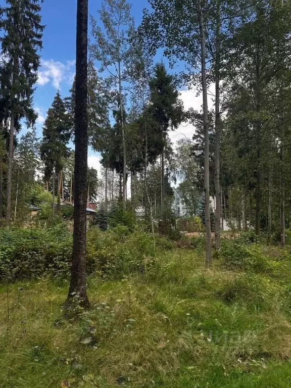Участок в Московская область, Одинцовский городской округ, д. Бородки, ... - Фото 1