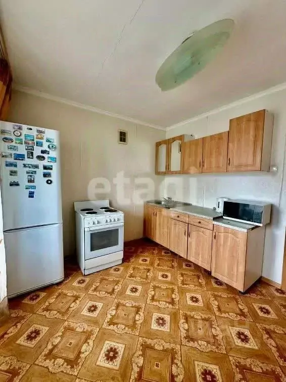 1-к кв. Амурская область, Благовещенский район, с. Чигири ул. ... - Фото 1