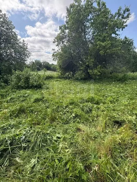 Участок в Ярославская область, Ростовский муниципальный округ, деревня ... - Фото 2