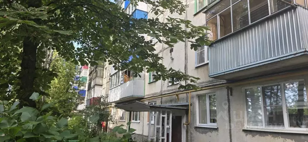 2-к кв. Липецкая область, Елец ул. Костенко, 44 (44.0 м) - Фото 1