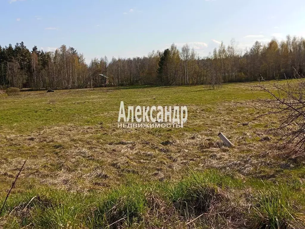 Участок в Ленинградская область, Приозерский район, Ларионовское ... - Фото 1