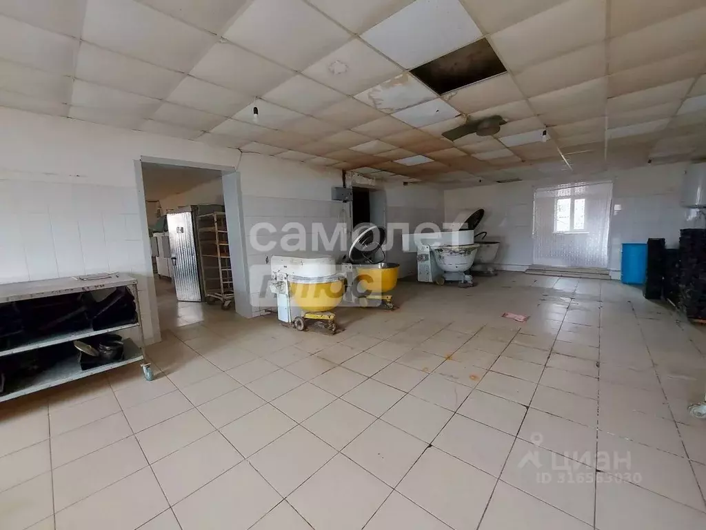 Производственное помещение в Оренбургская область, Илекский район, с. ... - Фото 2