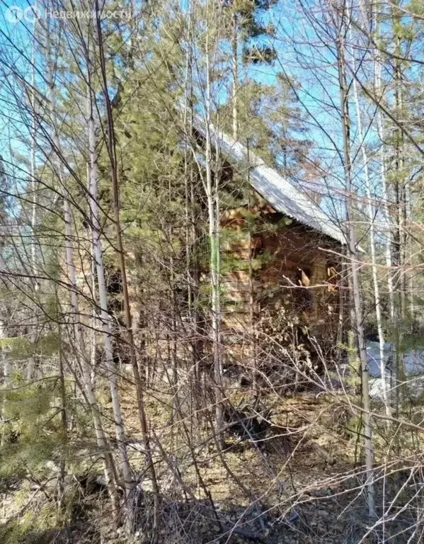 Участок в село Максимиха, улица Комарова (9.8 м) - Фото 2