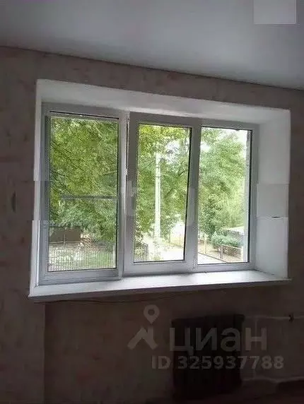 Комната Ростовская область, Таганрог ул. Пальмиро Тольятти, 36-3 (18.0 ... - Фото 2