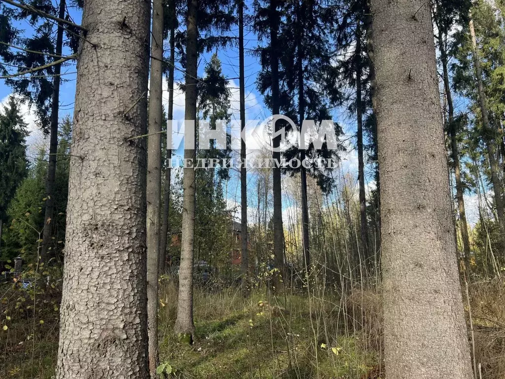 Участок в Московская область, Пушкинский городской округ, д. Могильцы, ... - Фото 2