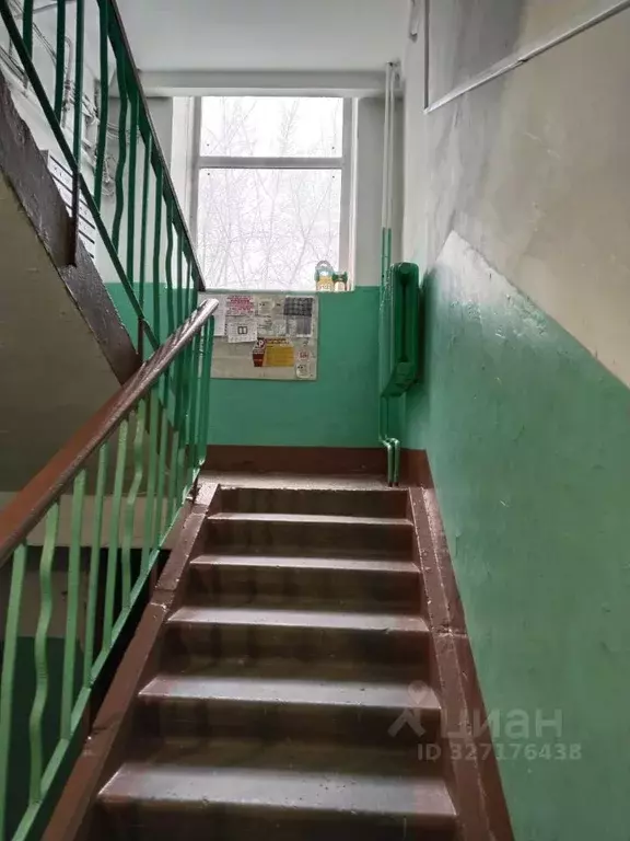 2-к кв. Алтайский край, Барнаул ул. Антона Петрова, 132 (43.5 м) - Фото 2