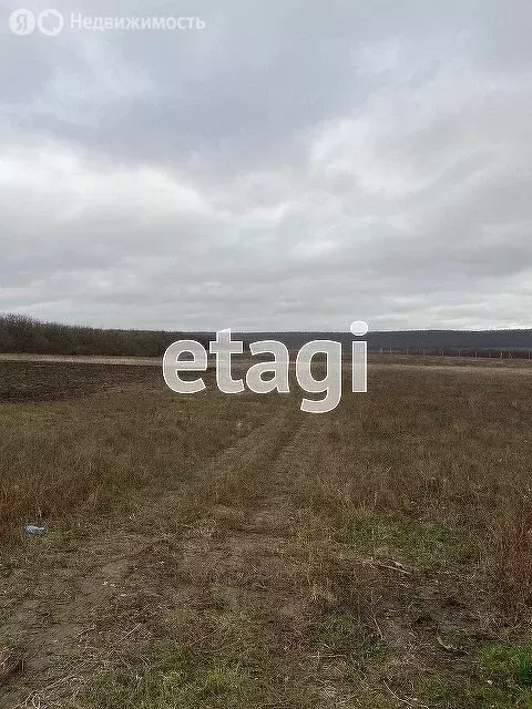 Участок в Краснодарский край, городской округ Новороссийск, станица ... - Фото 0