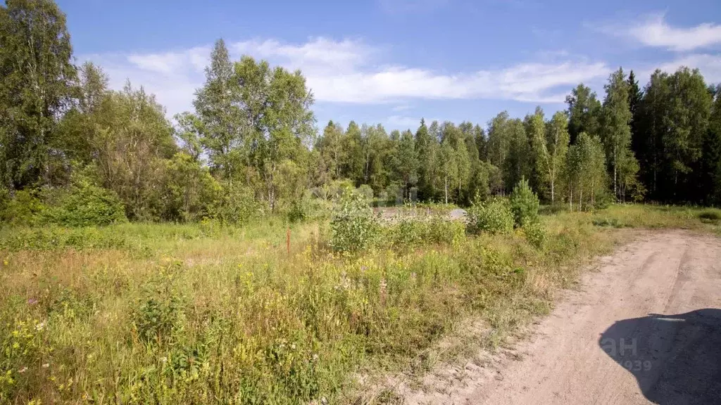 Участок в Томская область, Томский район, с. Корнилово, Красная горка ... - Фото 1