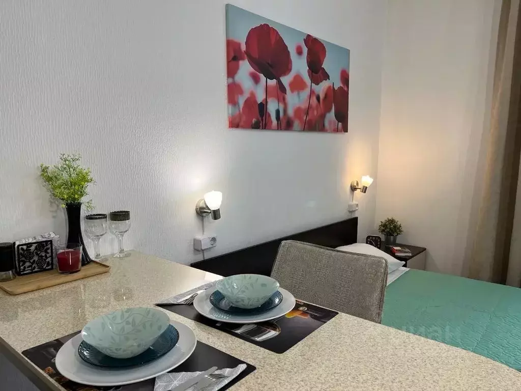 Студия Санкт-Петербург просп. Энергетиков, 11к2 (27.0 м) - Фото 0