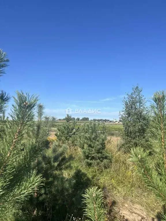 Участок в Владимирская область, Ковровский район, Доброград ... - Фото 1