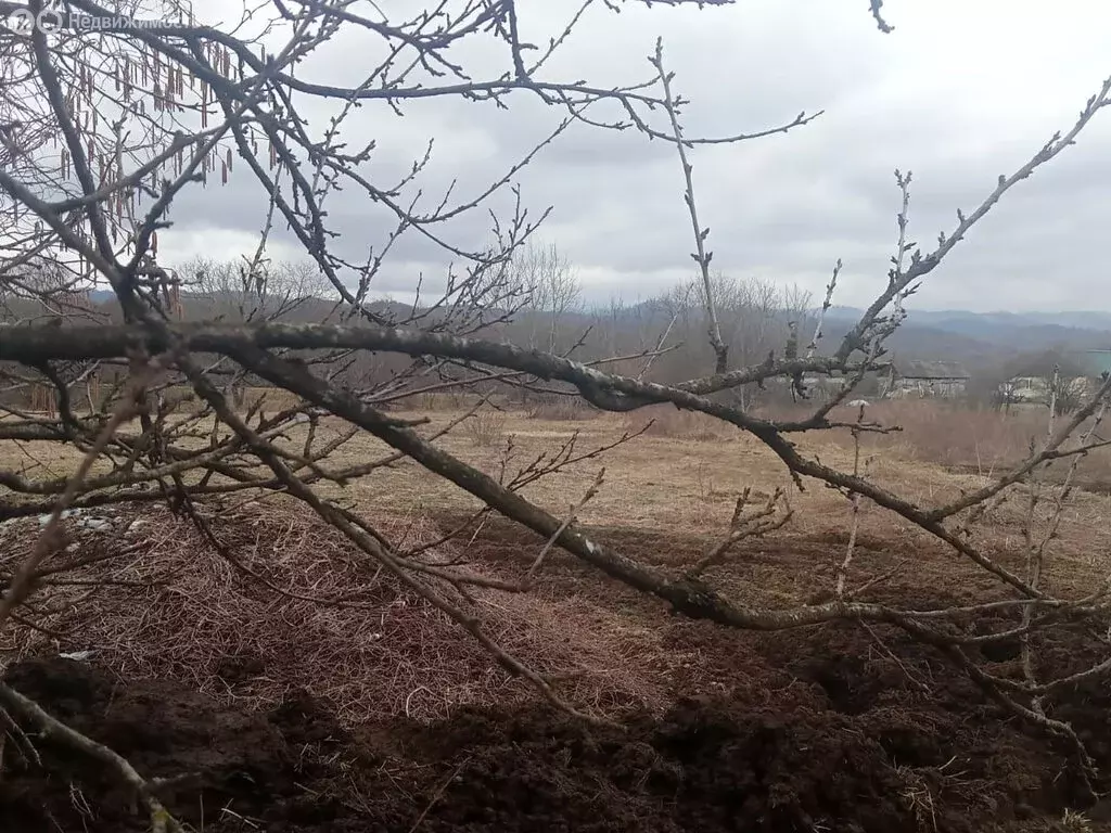 Участок в село Комгарон, улица Ленина, 40 (50 м) - Фото 2