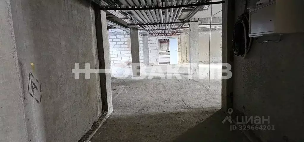 Помещение свободного назначения в Новосибирская область, Новосибирский ... - Фото 2