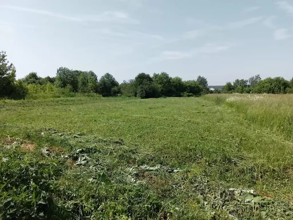 Участок в Нижегородская область, Богородский муниципальный округ, с. ... - Фото 1