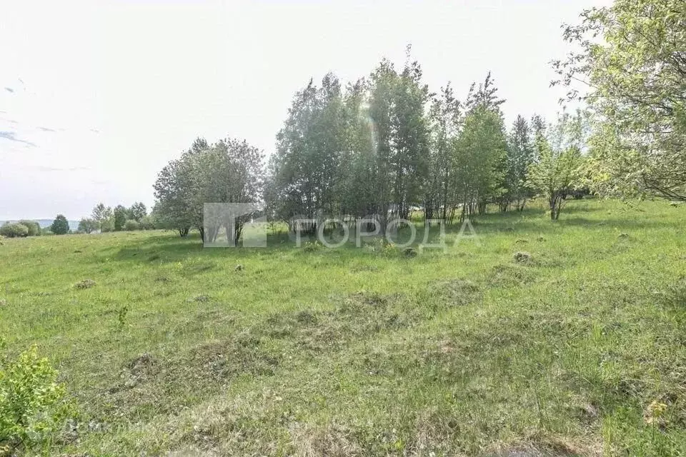Участок в Кемеровская область, Новокузнецк ул. Шахтерской Славы (14.82 ... - Фото 0