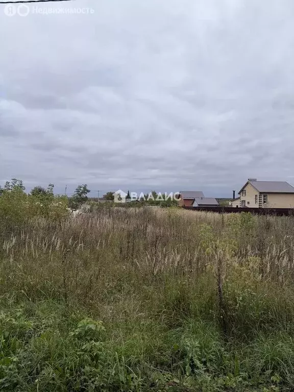 Участок в Нижегородская область, городской округ Арзамас, деревня ... - Фото 2