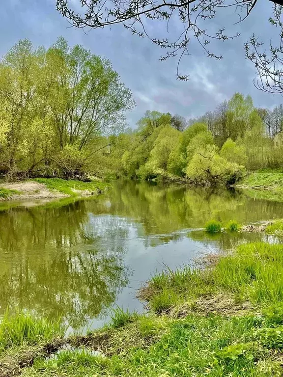 Участок в Московская область, Чехов городской округ, д. Мальцы 41 ... - Фото 0