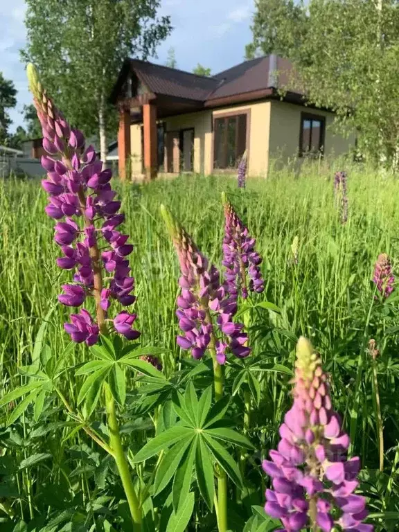 Дом в Башкортостан, Уфа городской округ, д. Карпово ул. Лучистая, 12А ... - Фото 0