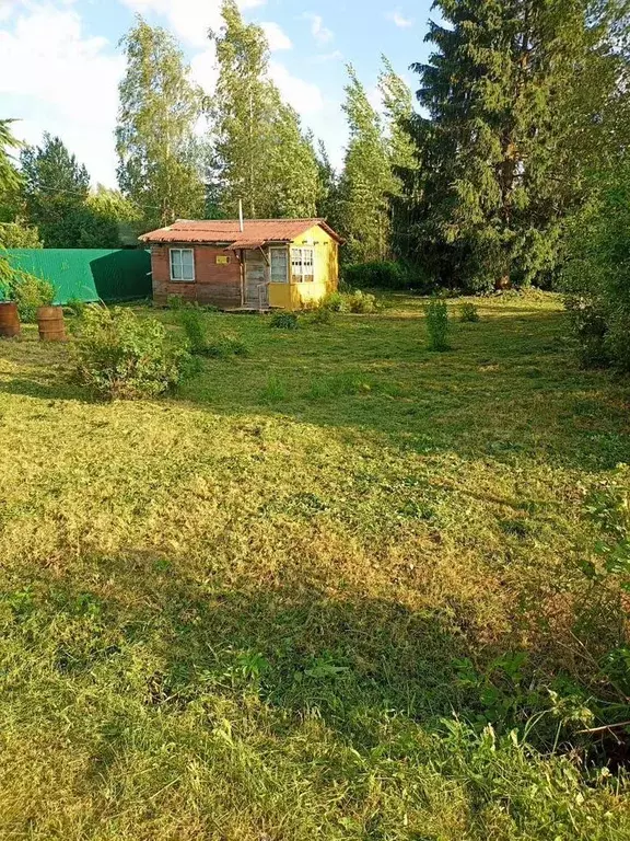 Участок в Ленинградская область, Волховский район, Кисельнинское ... - Фото 1