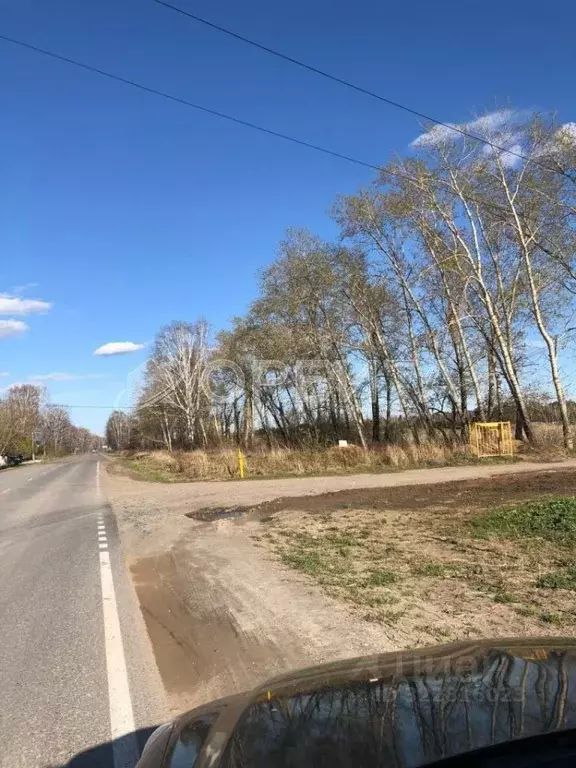 Участок в Тюменская область, Тюменский муниципальный округ, с. ... - Фото 1