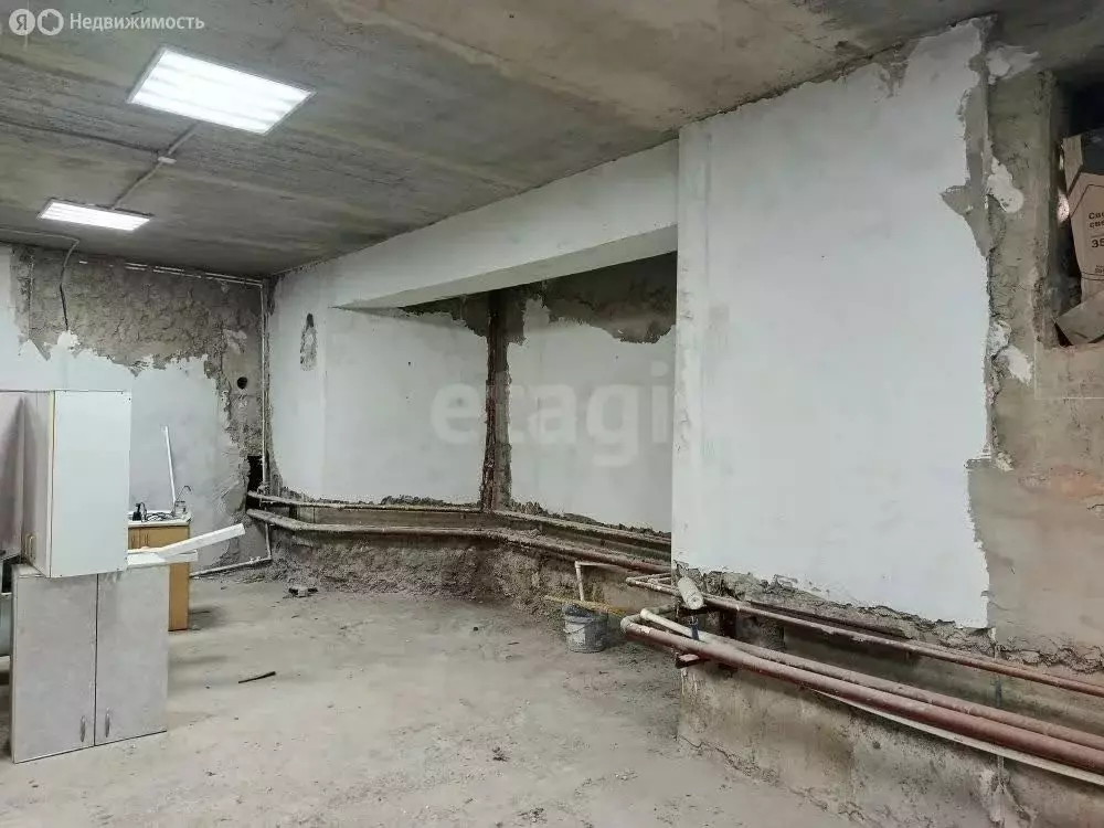Помещение свободного назначения (262 м) - Фото 1