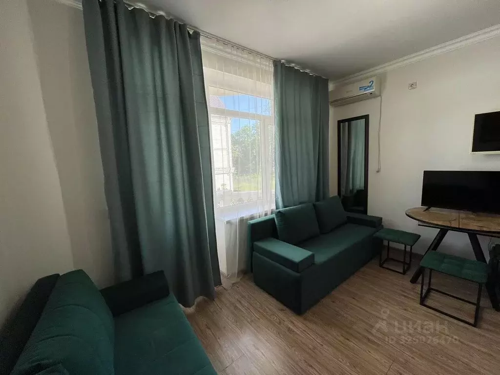 1-к кв. Краснодарский край, Сочи Главная ул., 45 (25.0 м) - Фото 2