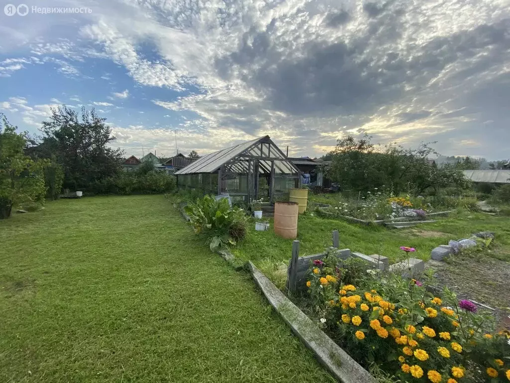 Дом в Нижний Тагил, СТ Дружба, 3-я улица, 37 (20 м) - Фото 1