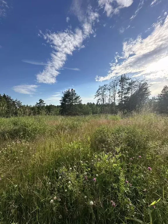 Участок в Ленинградская область, Выборгский район, Первомайское с/пос, ... - Фото 2