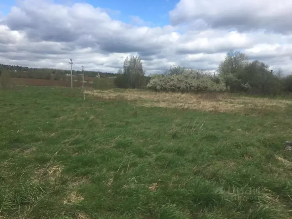 Участок в Московская область, Пушкинский городской округ, д. Петушки  ... - Фото 0