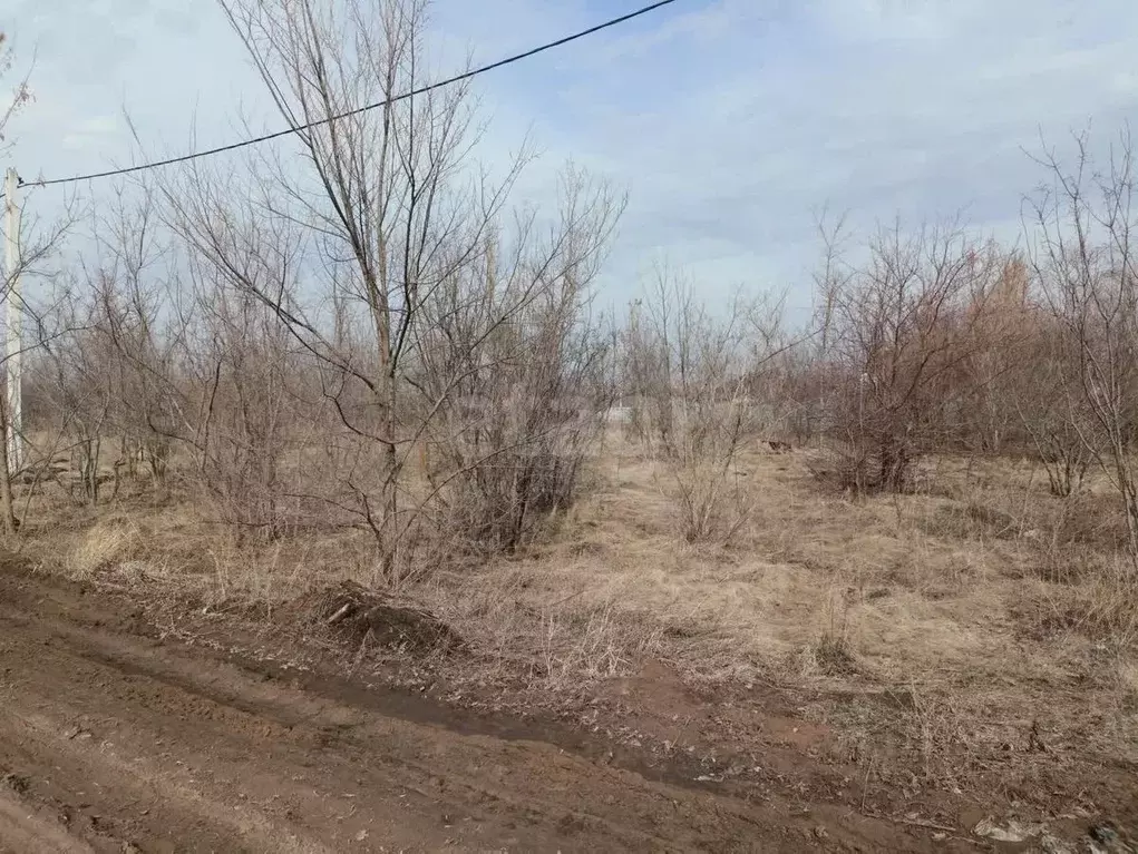 Участок в Саратовская область, Саратов ул. Клеверная (10.0 сот.) - Фото 1