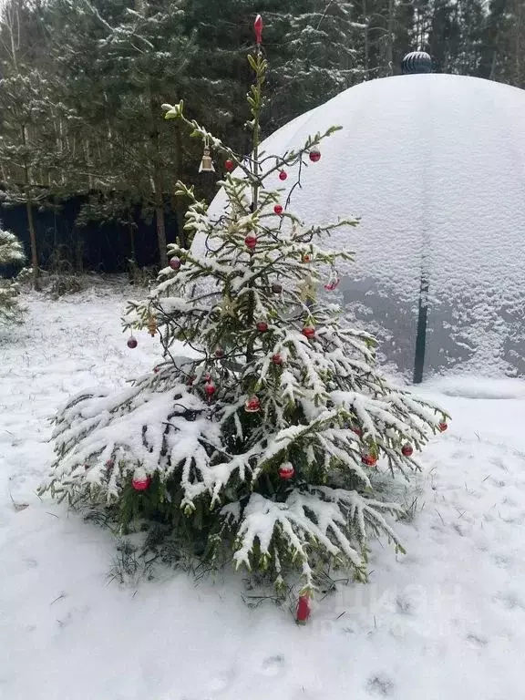 Дом в Московская область, Егорьевск муниципальный округ, д. Иваново  ... - Фото 2