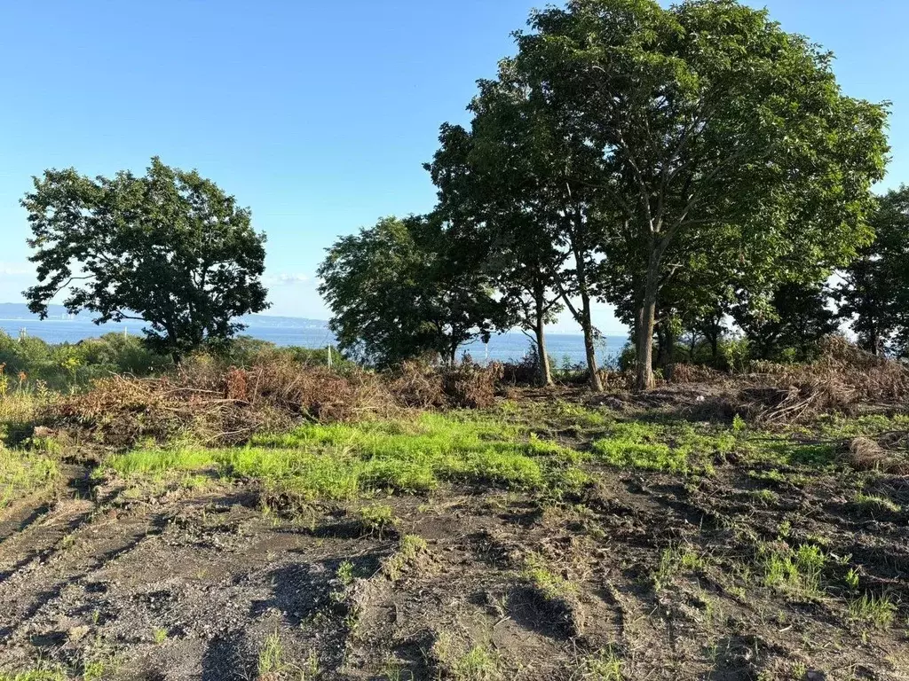 Участок в Приморский край, Надеждинский район, пос. Тавричанка ул. ... - Фото 1