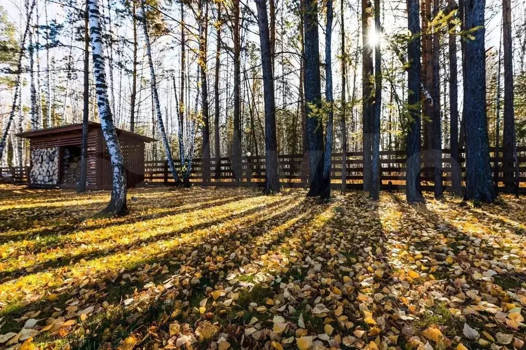 Участок в Красноярский край, Емельяновский район, Элитовский ... - Фото 0