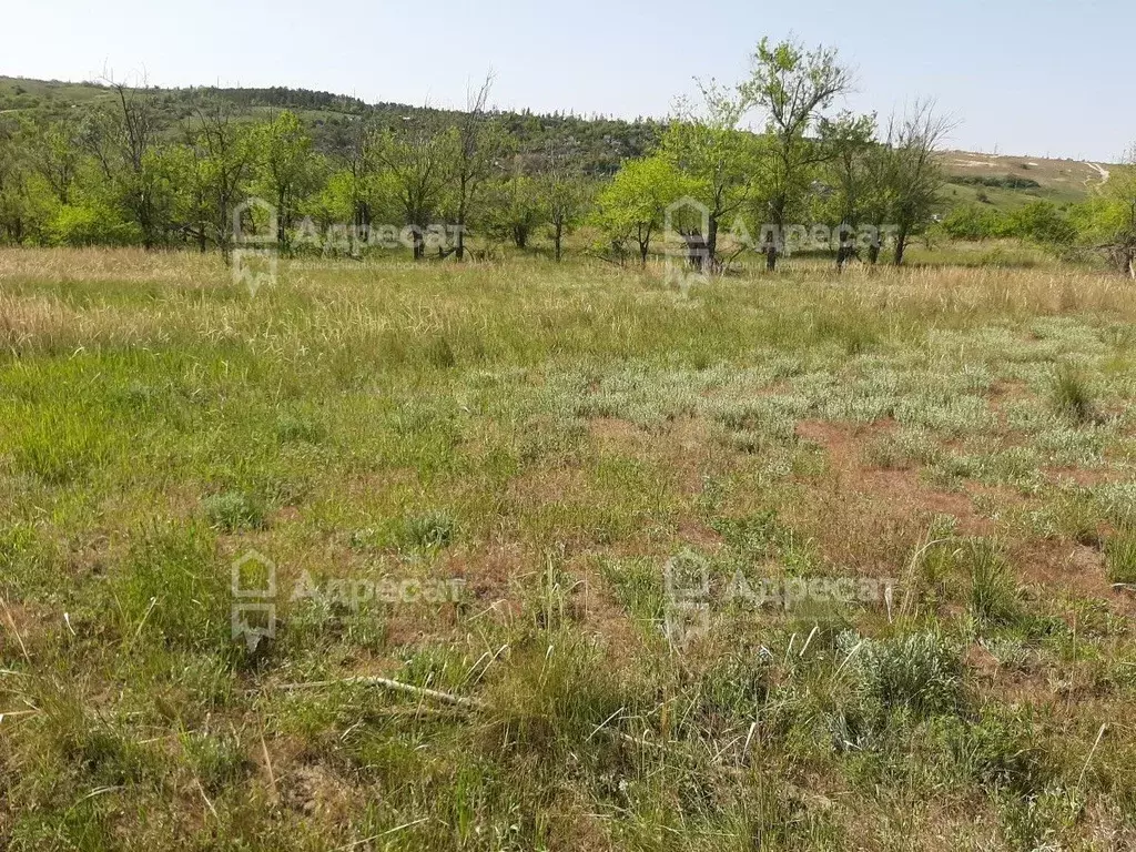Участок в Волгоградская область, Городищенский район, Царицынское ... - Фото 2