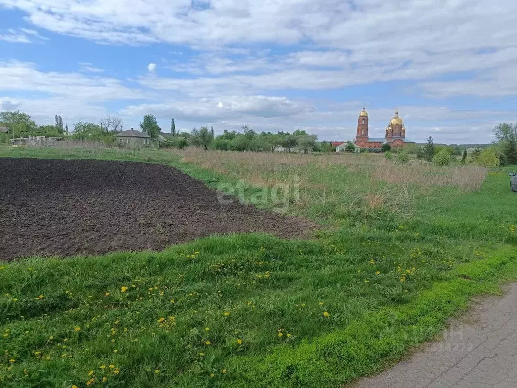 Участок в Воронежская область, Семилукский район, с. Латное Набережная ... - Фото 0