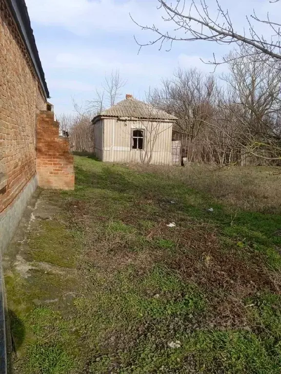 Участок в Краснодарский край, Ейский район, Камышеватская ст-ца ... - Фото 1