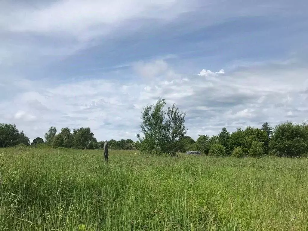 Участок в Владимирская область, Кольчугинский район, Раздольевское ... - Фото 1