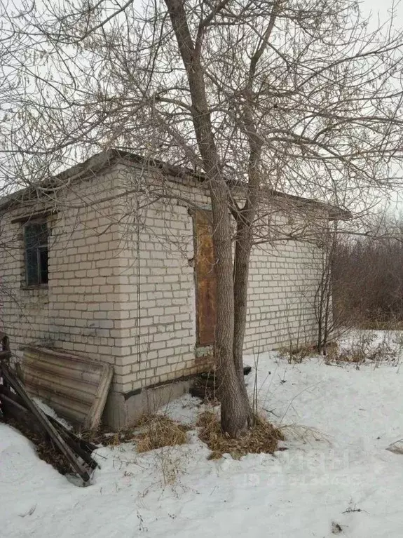 Дом в Курганская область, Курган Полянка-2 СНТ,  (20 м) - Фото 1