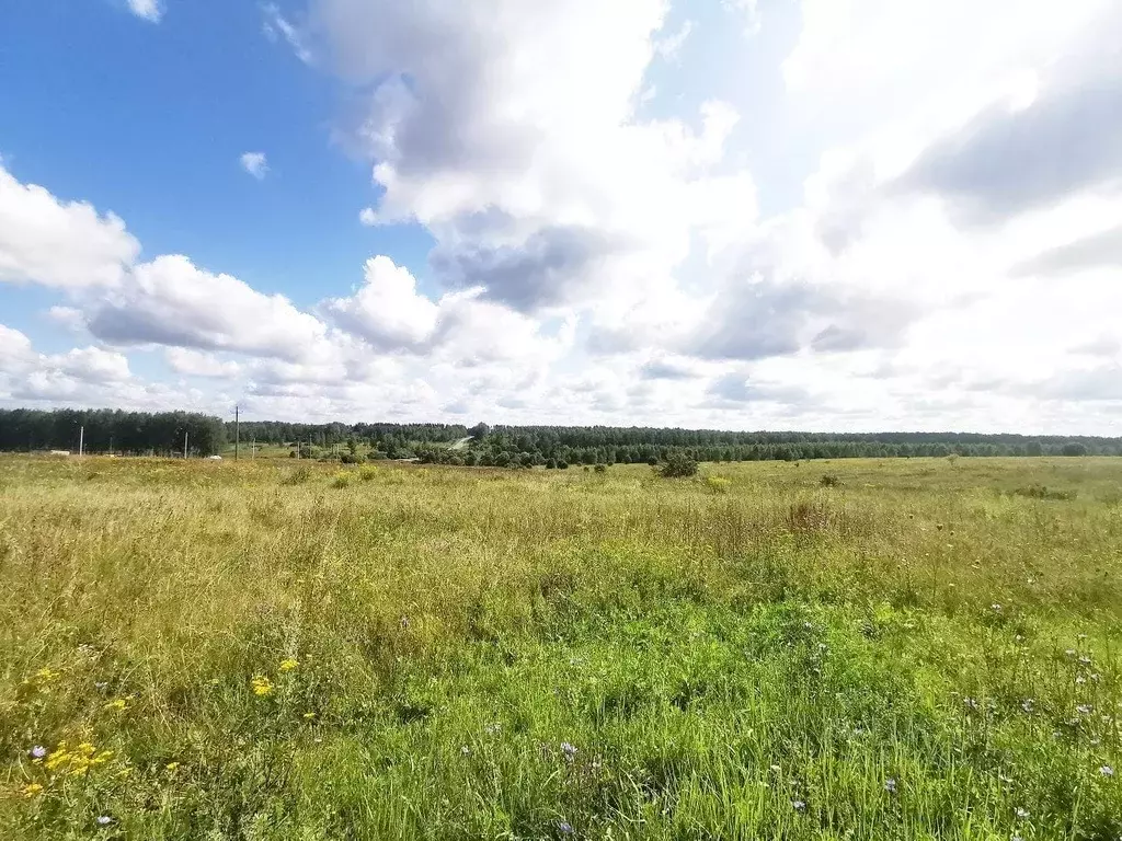Участок в Тульская область, Веневский муниципальный округ, с. Марыгино ... - Фото 2