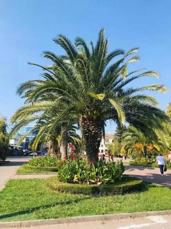 2-к кв. Краснодарский край, Сириус пгт ул. Нагорный Тупик, 13 (42.0 м) - Фото 1