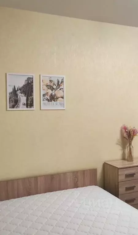 1-к кв. Воронежская область, Воронеж ул. Хользунова, 38 (35.4 м) - Фото 1