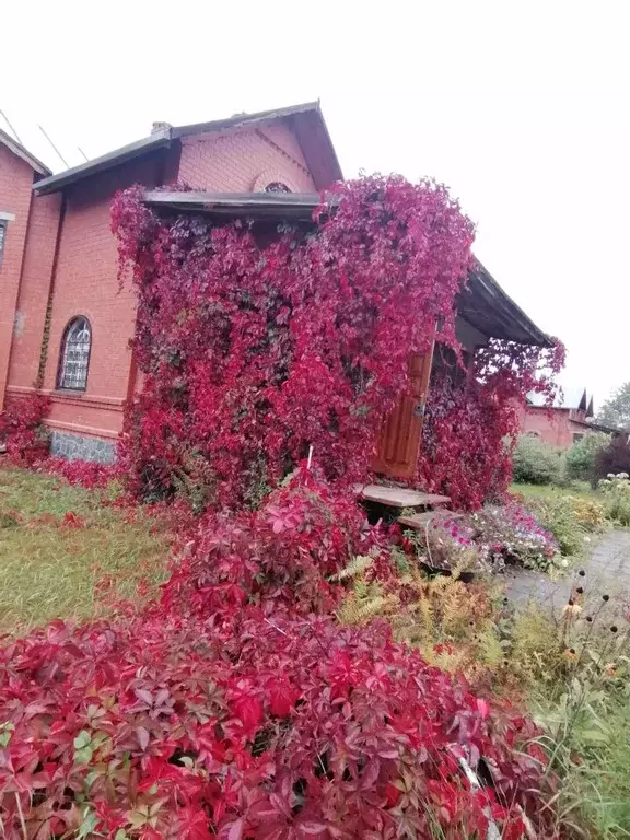 Дом в Алтайский край, Бийский район, Возрождение СДТ ул. Лесная Поляна ... - Фото 2