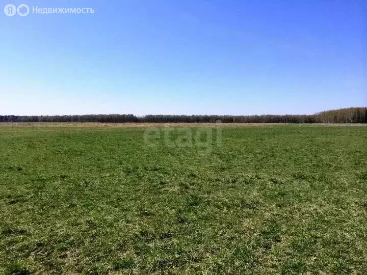 Участок в Республика Мордовия, городской округ Саранск, посёлок ... - Фото 1