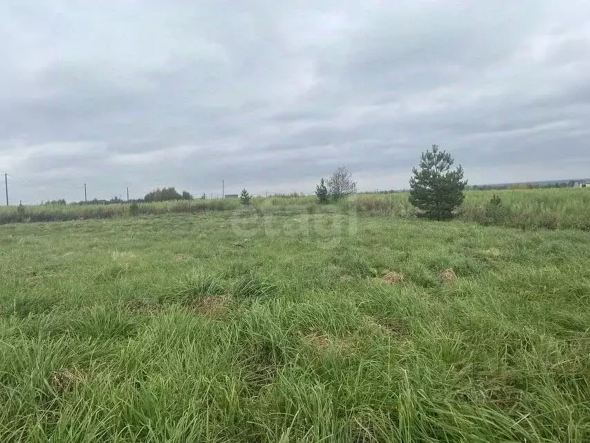 Участок в Вологодская область, пос. Васильевское  (20.0 сот.) - Фото 0