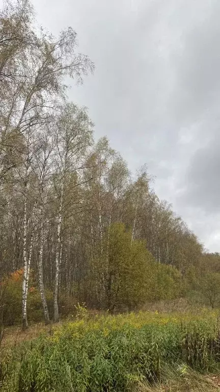 Участок в Московская область, Чехов городской округ, д. Слепушкино  ... - Фото 1